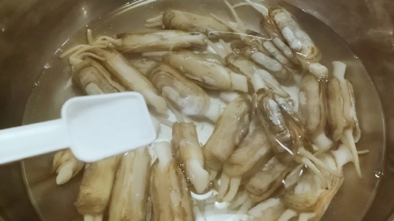 葱姜烹蛏子,加入2克盐 等蛏子外壳打开 关火