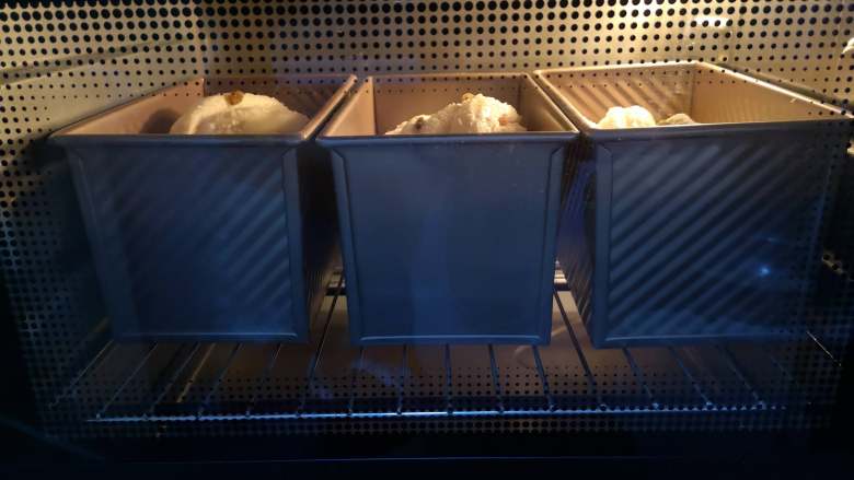 好吃又好看的椰蓉葡萄干吐司,烤箱先预热上火160度,下火170度,预热完成,将模具放入烤箱最下层,烤制温度上火160度,下火170度,40分钟后成品就可以出炉啦。我一次做了3个吐司哦。