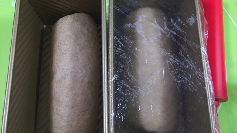 黑麦葡萄吐司,送入吐司盒,盖上保鲜膜。