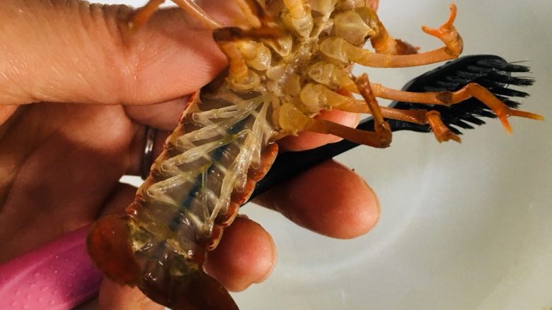 蒜蓉小龙虾,泡完后用牙刷,一手拿小龙虾,一手用牙刷轻刷小龙虾的全身,刷时对着水龙头,边刷边冲。因为两手都用起来了,不好照相,所以只拍下了虾和牙刷。
