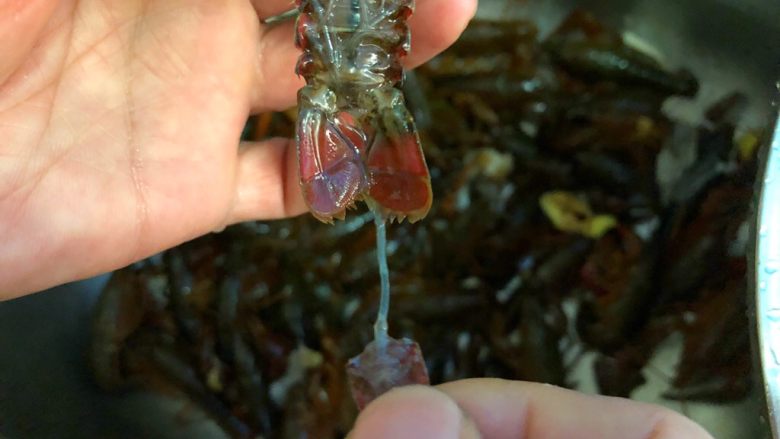 麻辣小龙虾,下面我们来清洗小龙虾,首先用剪刀把小龙虾头部尖尖那一点剪掉,把里面的黑包拿掉,再用干净的牙刷把整只小龙虾刷干净,再把尾巴中间那一片揪出来,虾肠就出来了,再清洗干净就可以了。