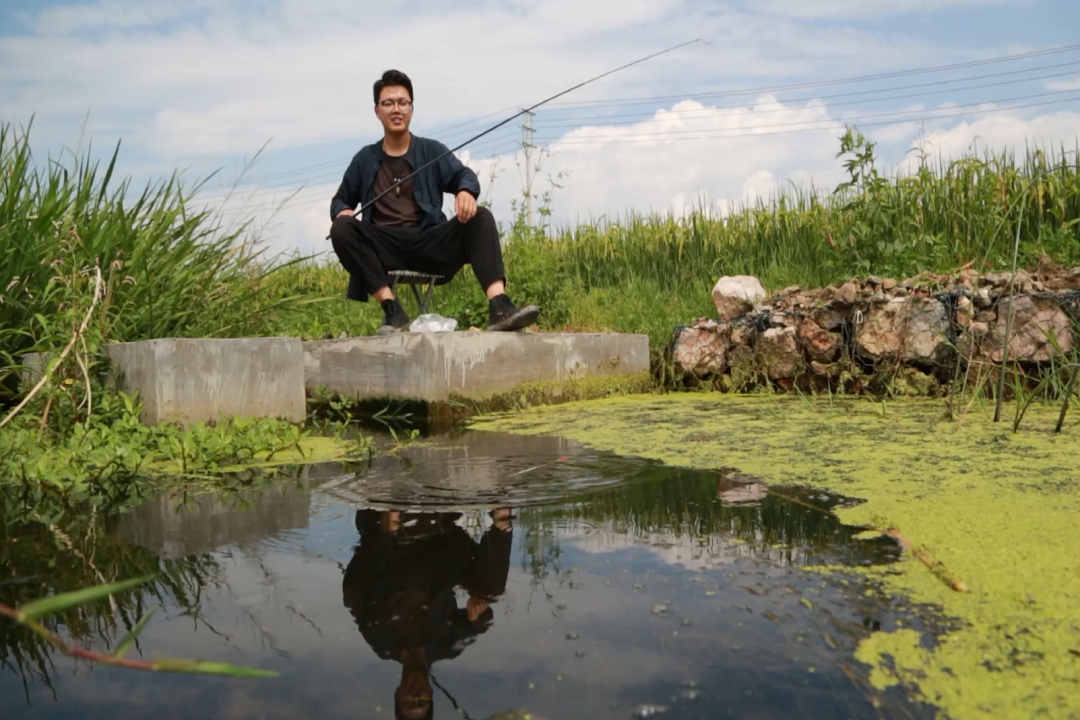 在大理古城吃狗粮，在洱海湖畔爆龙虾