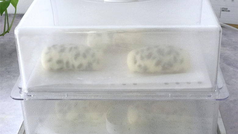 玉米面蜜豆卷,在醒发的时候可以往电蒸锅里加入水,准备好,二次醒发10分钟完成后,就可以通电开蒸了。