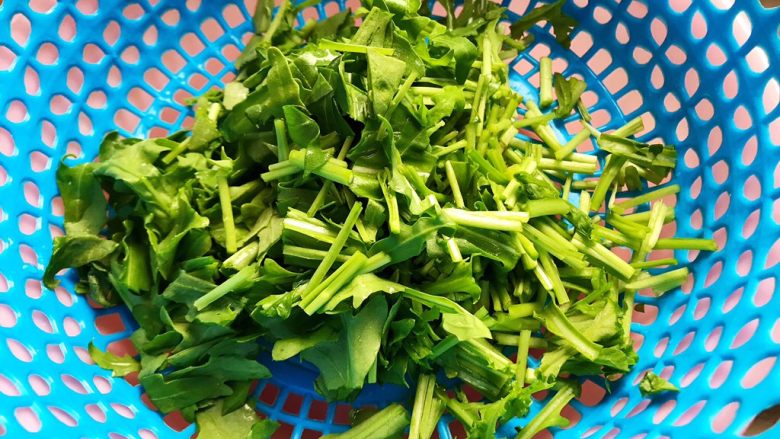 蒜蓉茄子芝麻菜,这期间我们来处理芝麻菜,用饮用水洗净之后切碎,控干水分