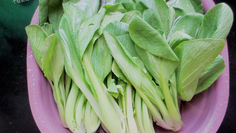 青菜炒豆干,小<a style='color:red;display:inline-block;' href='/shicai/ 3517'>青菜</a>用盐水或者小苏打浸泡半小时,减少农药存留