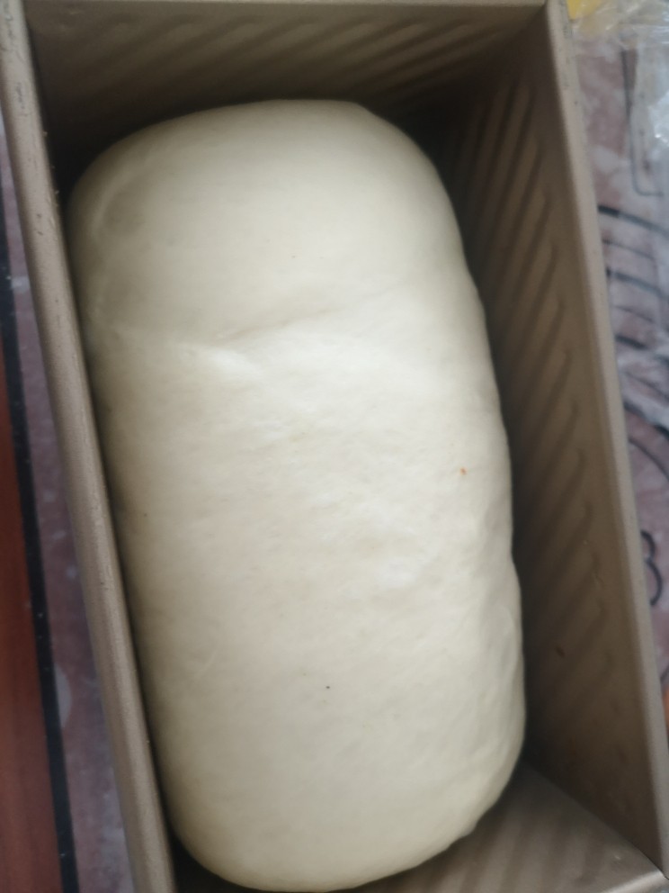 抹茶蜜豆土司,大概发酵一个小时,到一个半小时,盖上土司盖,160℃,烤50分钟