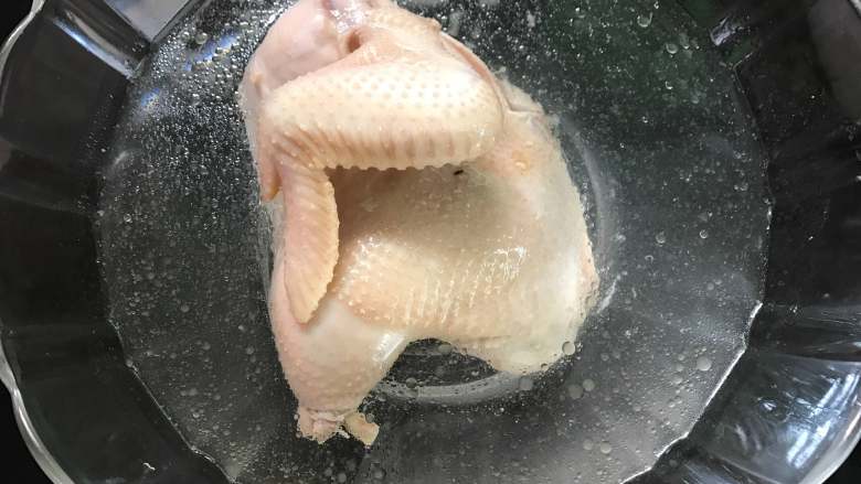 口水鸡,水开后煮10分钟,熄火,焖20分钟后取出,放入事先准备好的冰水中冷却。鸡煮的时间和鸡的大小,和鸡肉的肉质有关。