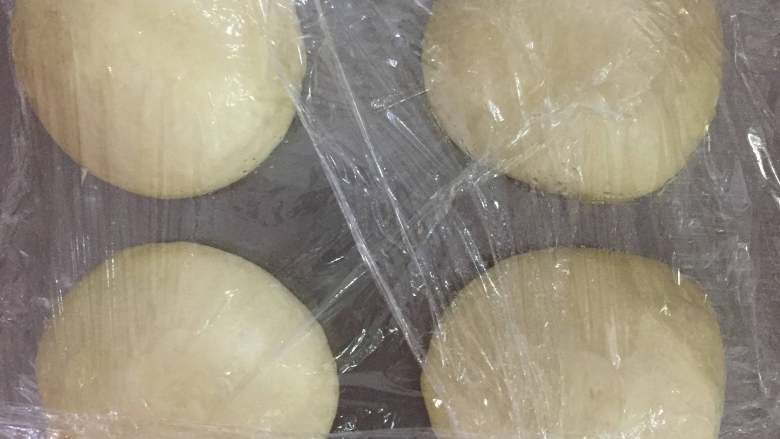 葡萄干吐司,发酵好的面团排气,分割成4份,滚圆后松弛20分钟。