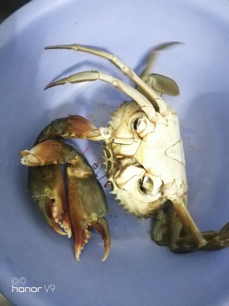 爸爸牌螃蟹粥,先把大腿给切了(切很费费劲,又怕被夹到手)
