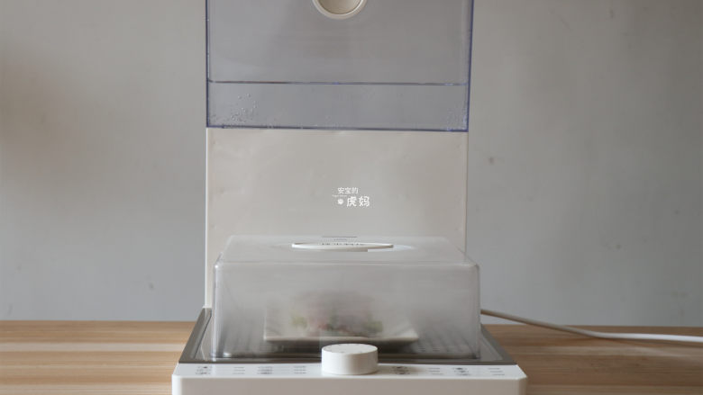 蔬菜鱼肉卷,电蒸锅开始工作,10秒左右就出蒸汽了,蒸熟后取出,淋上<a style='color:red;display:inline-block;' href='/shicai/ 864'>蒸鱼豉油</a>就可以享用啦;