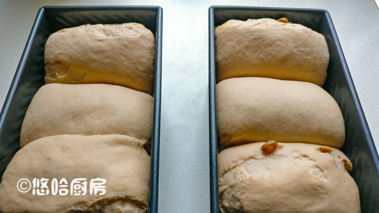 红酒葡萄干吐司,面团醒发至九分满即可,入烤箱之前在表面刷一点水。面团有点问题,竟然这个时候开裂。