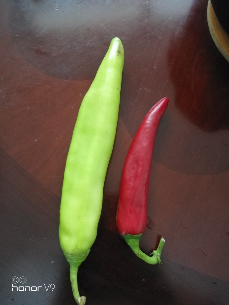 香菇虾米炒海参,<a style='color:red;display:inline-block;' href='/shicai/ 61'>青椒</a>,红椒,切丝。