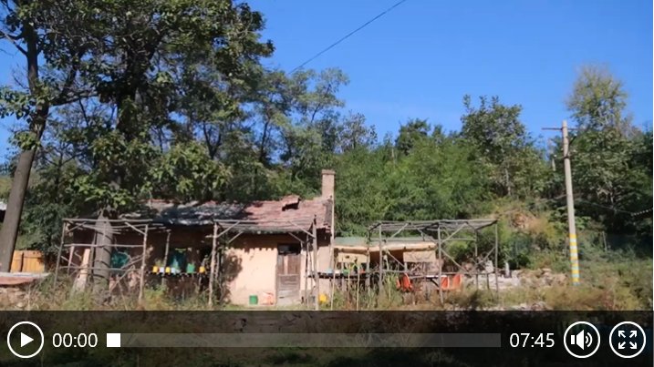 回到深山小院，清除杂草，修缮狗窝，再做上三个家常