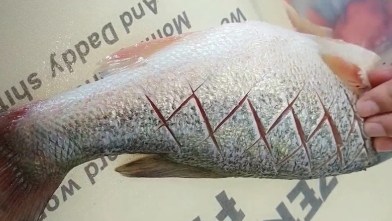 红烧鱼鸟蛋,<a style='color:red;display:inline-block;' href='/shicai/ 371'>鲈鱼</a>杀洗干净,两面改上十字花刀