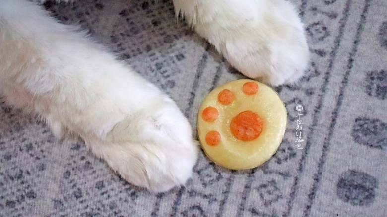 猫爪馒头,给猫咪看看它的小爪爪,哈哈