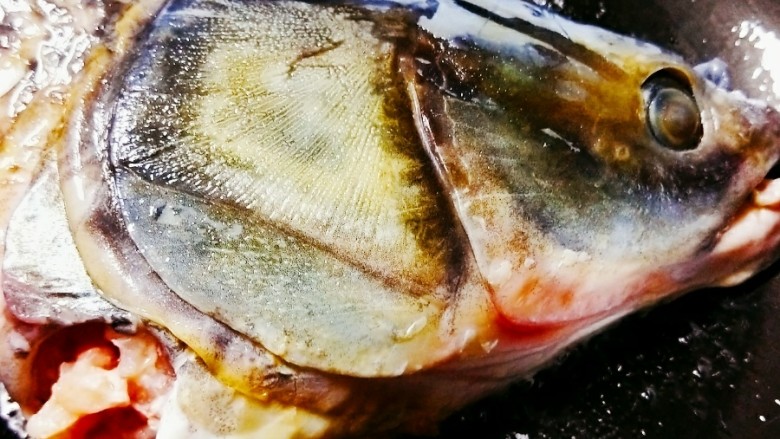 鱼头豆腐,锅中倒油,油热后将鱼头放入锅中