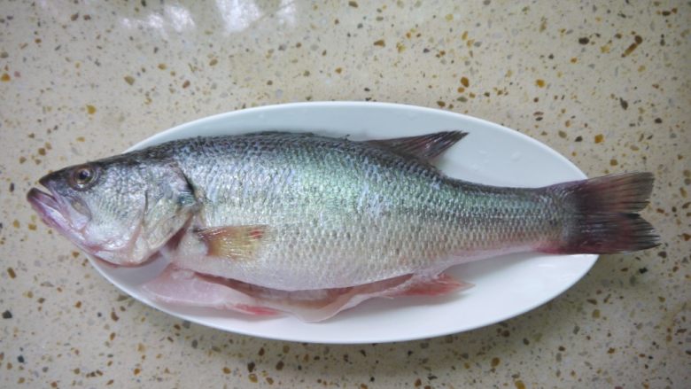 原汁原味,鲜嫩无比--清蒸鲈鱼,鲈鱼去除鱼鳞、内脏和鱼鳃,然后用清水清洗干净,特别要把鱼肚子里面的血水清洗干净。