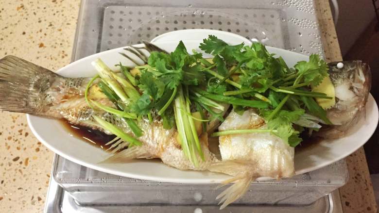 原汁原味,鲜嫩无比--清蒸鲈鱼,把姜片、香葱和香菜依次铺在鱼上面,然后把<a style='color:red;display:inline-block;' href='/shicai/ 864'>蒸鱼豉油</a>淋在鱼身上。然后用小锅烧一点热油,把热油淋上去。
