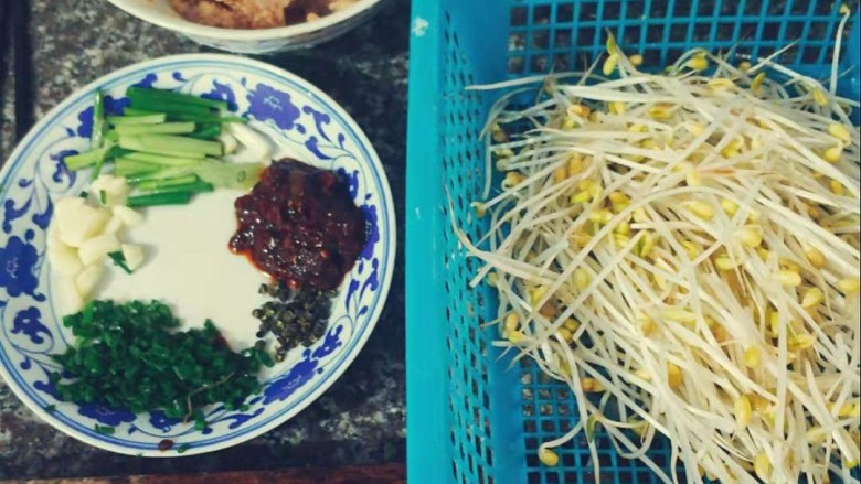 水煮肉片,准备好各种调料，（蒜段，小葱，<a style='color:red;display:inline-block;' href='/shicai/ 700'>花椒</a>，豆瓣，葱花）