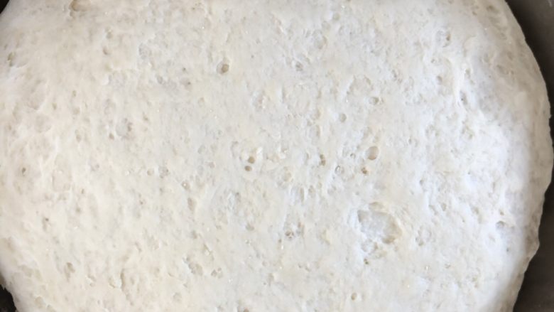 豇豆包子(长豆角),面团发酵至两倍大的样子
