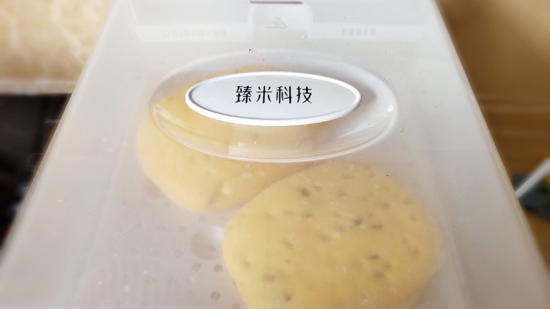 南瓜蜜豆馒头,开水上锅蒸20分钟即可。我用的是臻米科技电蒸箱。不到一分钟就上汽，所以我直接上锅蒸了。（ 如果用普通蒸锅，一定记得要开水上锅哦。）