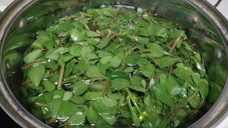 黄瓜蚂蚁菜猪肉饺子,水开后焯水30秒。