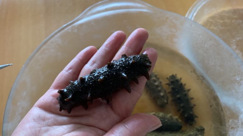 教你如何泡发海参,海参泡2天后,已经发软。