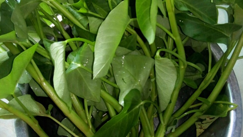 烩空心菜梗 #夏日清爽菜#,空心菜洗净。