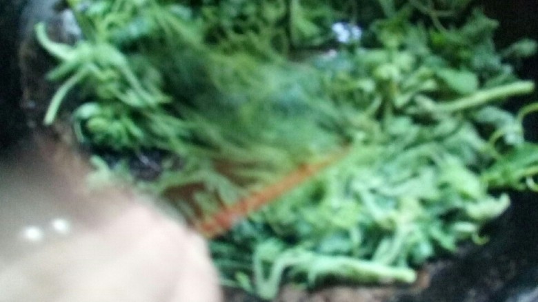 美味南瓜藤一蛋拱南瓜藤 快炒南瓜藤,放入南瓜藤叶和根须大火翻炒。