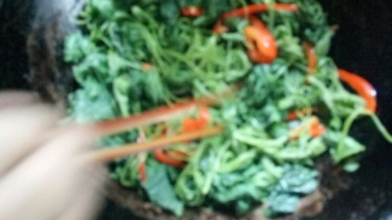 美味南瓜藤一蛋拱南瓜藤 快炒南瓜藤,放入彩椒丝大火翻炒。