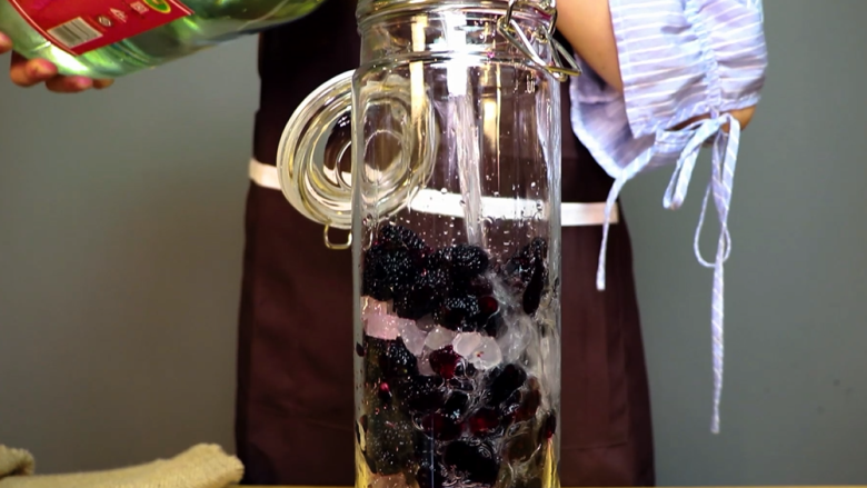 营养价值比葡萄酒高，性价比超高的桑葚酒,倒入九江双蒸米酒，这米酒广东老牌子，在天猫上搜索：远航九江旗舰店。快递送货上门很方便。