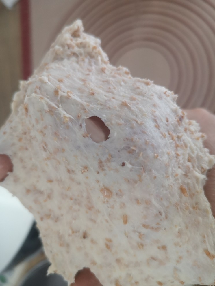 全麦核桃欧包,直到打出比较光滑，有弹性的面膜