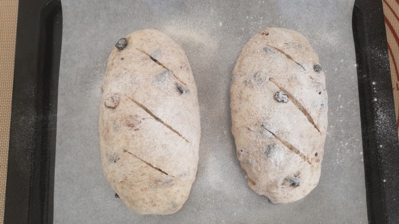 全麦核桃欧包,用割刀割出花纹，入烤箱进行烘烤，烤25分钟左右，大家要注意观察面包的上色情况，根据自己的烤箱调整烘烤时间