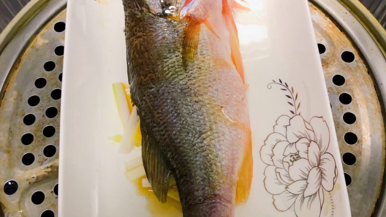 宝宝清蒸鲈鱼,把鱼放上然后淋上一些食用油,放入蒸锅,可以水开后再开始蒸8-10分钟就行。