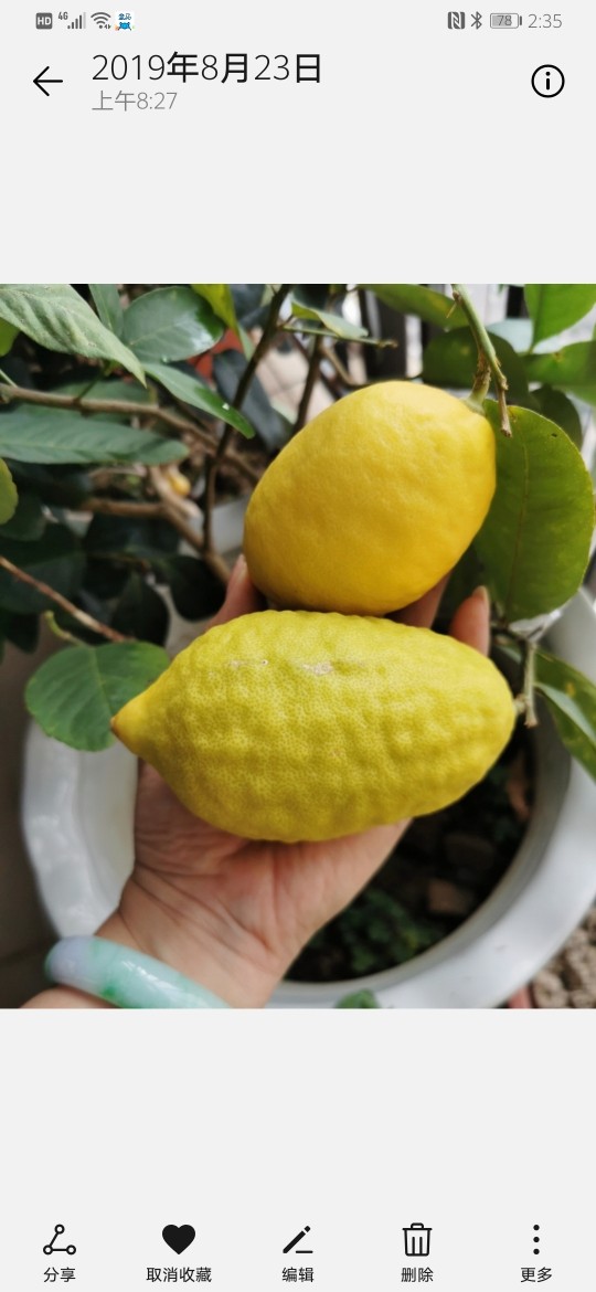 柠檬低糖蛋糕卷🍋,新鲜柠檬一个,用来榨汁