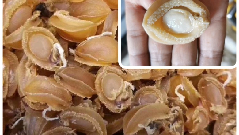 黄金小鲍鱼炆鸡(配靓汤套餐版),清水泡30分钟,洗洗表面,水不要了。用干净的盒子装满纯净水放冰箱里泡24小时左右。就有右上图的效果,这时可以直接煲、炖汤用。
我喜欢把它直接倒到炖盅里,加入瘦肉<a style='color:red;display:inline-block;' href='/shicai/ 37'><a style='color:red;display:inline-block;' href='/shicai/ 37'>姜</a></a>片炖上2小时,之后把<a style='color:red;display:inline-block;' href='/shicai/ 203'>鲍鱼</a>拿出来炆鸡,饭前还能喝上一碗香香的瘦肉汤。
