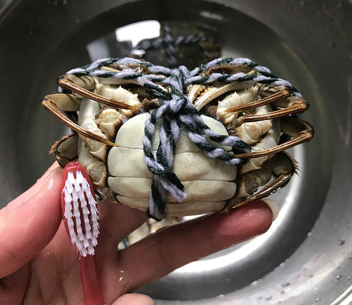 清蒸螃蟹,然后用手抓住螃蟹壳的两边,再用牙刷把螃蟹仔细刷洗干净,包括扎绳也多刷刷,不要被它夹到手