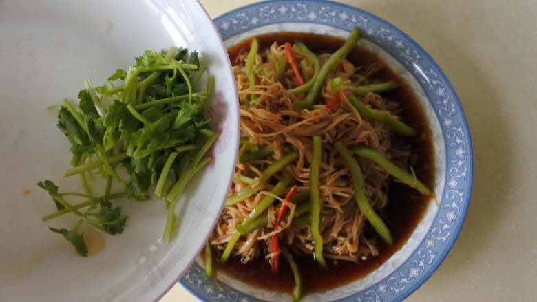 凉拌金针菇,装盘，放上香菜