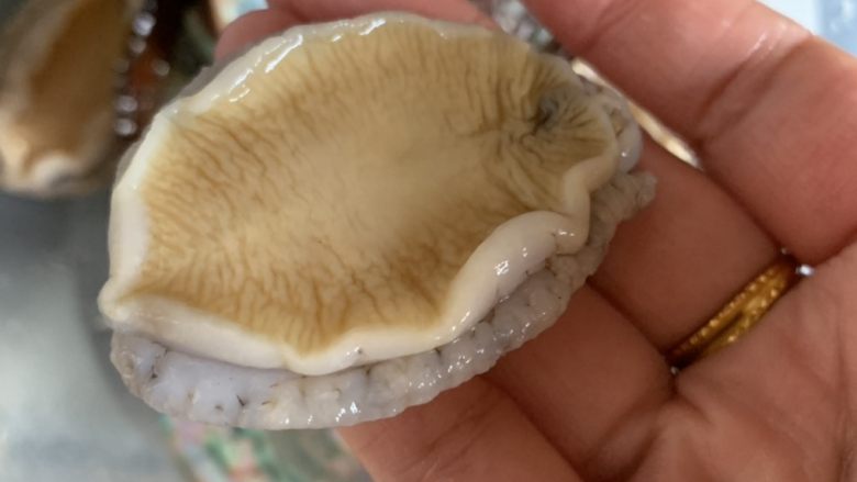 冬日暖心菜—红烧鲍鱼,洗