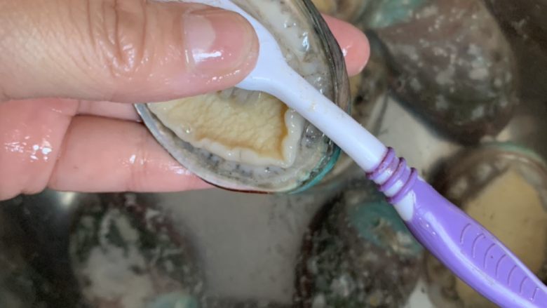 冬日暖心菜—红烧鲍鱼,用牙刷刷
