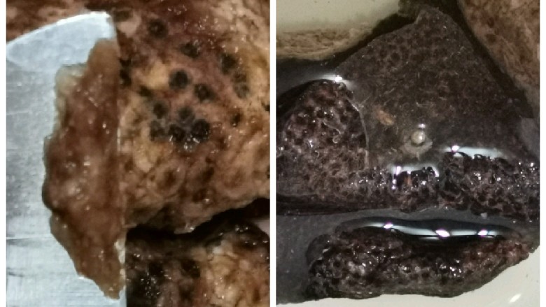 陈皮金桔雪梨瘦肉汤(化痰止咳理气),陈皮用水轻轻泡软,用刀刮去内里白囊。(陈皮留白者补胃和中,去白者消痰泄气”。简单解释就是,陈皮可以入肺胃。留白可以治疗脾胃。去白就有化痰止咳的作用,可以治疗肺病。)