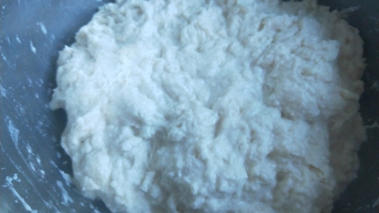 葱香鸡蛋包饼,合面用筷子,不要用手合面,不然会沾一手的面,搅拌均匀如图,不成形状叫面团醒放一小时。