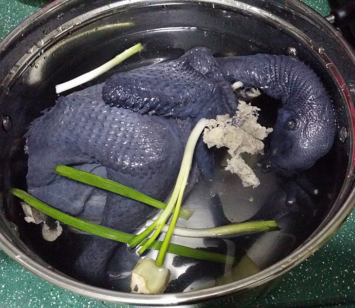 冬日暖心菜 乌骨鸡汤,将乌骨鸡、葱姜放入锅中,倒入适量清水