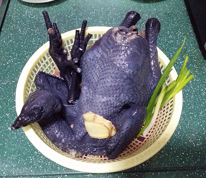 冬日暖心菜 乌骨鸡汤,备好食材,乌骨鸡洗净