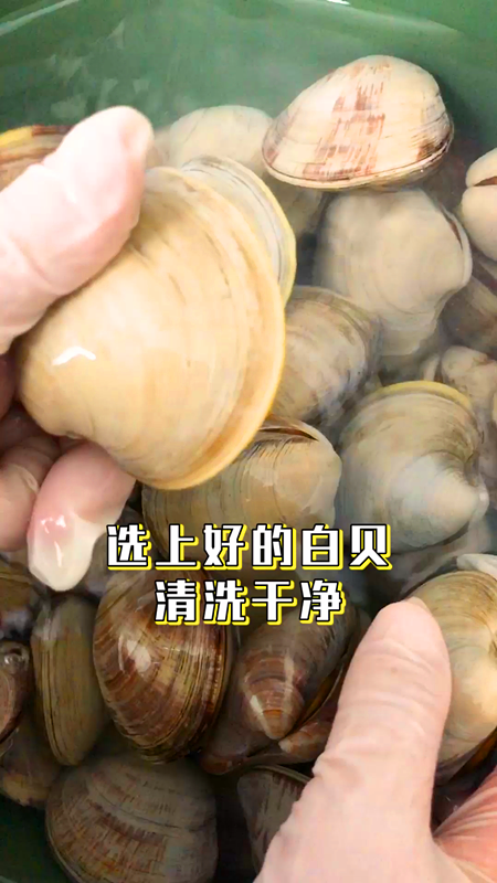 网红卜卜贝,选上好的<a style='color:red;display:inline-block;' href='/shicai/ 7202'>白贝</a>,先在水里泡上半天以上的时间,等到完全不吐沙后再加盐浸泡清洗干净