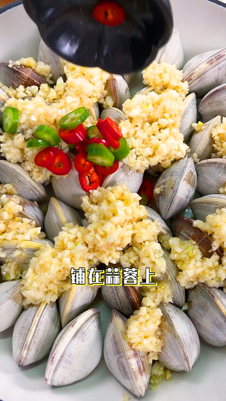 网红卜卜贝,把辣椒圈铺在白贝上面