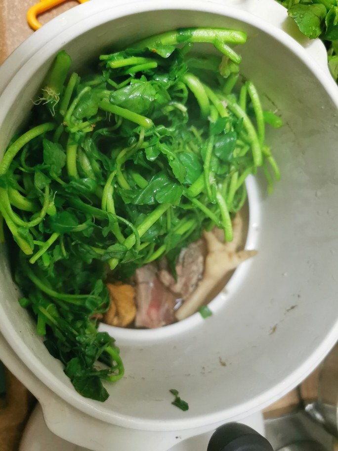 西洋菜凤爪排骨汤(清燥润肺),所有食材放入炖盅,加水加盅盖中火炖2小时。
