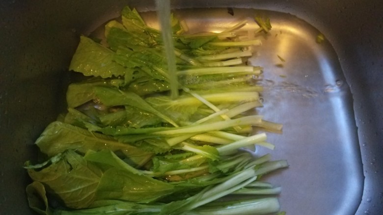 鸡蛋炒小白菜,用盐水泡一泡在洗净,以防有虫。