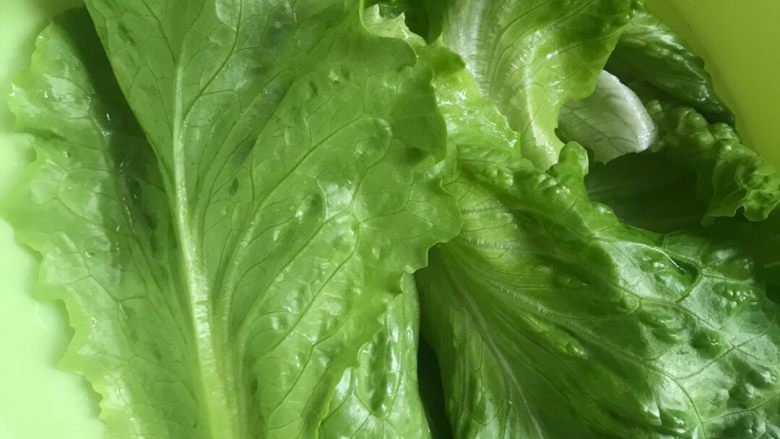 嫩牛五方,<a style='color:red;display:inline-block;' href='/shicai/ 121'>生菜</a>选择嫩叶，<a style='color:red;display:inline-block;' href='/shicai/ 59'>番茄</a>切薄片，<a style='color:red;display:inline-block;' href='/shicai/ 61'>青椒</a>切条。<a style='color:red;display:inline-block;' href='/shicai/ 121'>生菜</a>和<a style='color:red;display:inline-block;' href='/shicai/ 61'>青椒</a>我都用烫水过了一遍，吃起来不会太生。