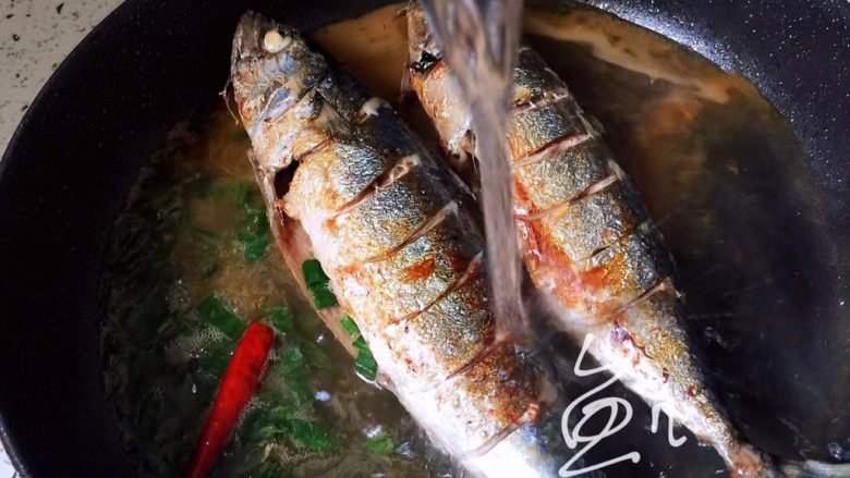 冬至美食 红烧鲅鱼,添水没过鱼身